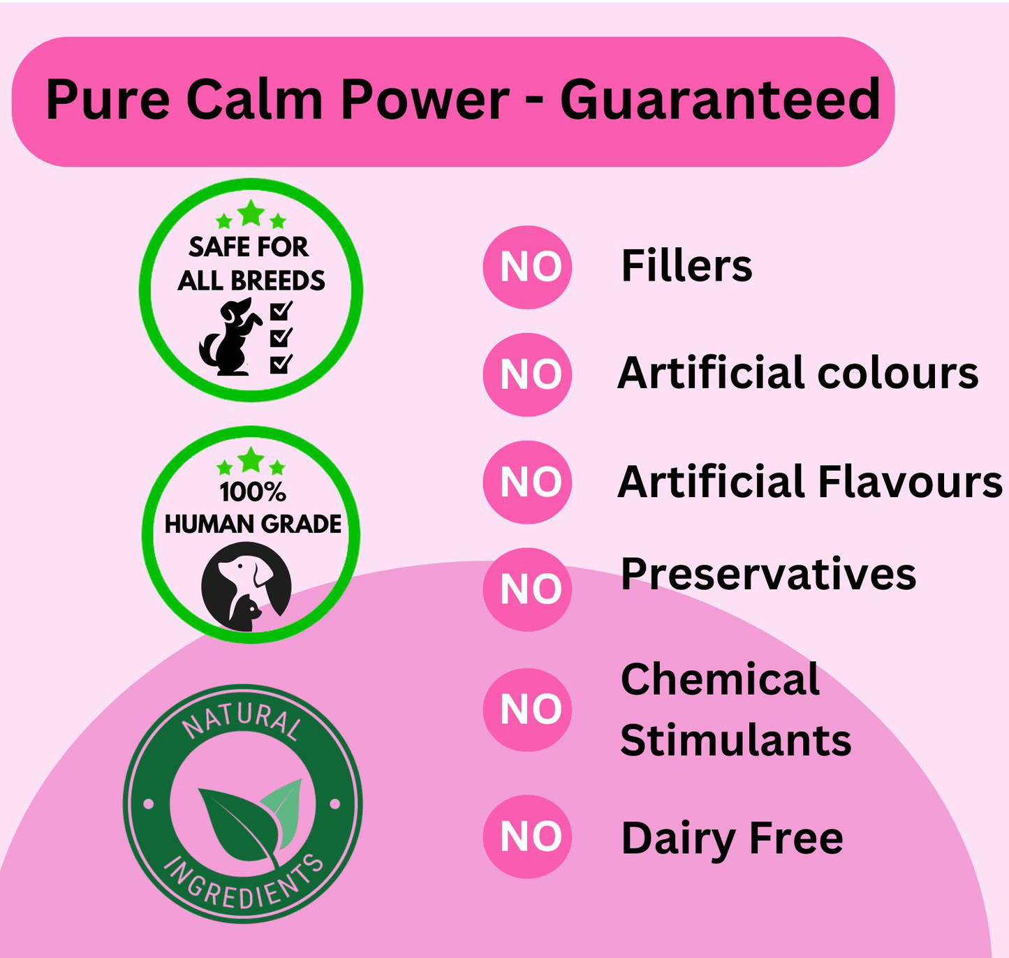 Calm Support — Natural Stress & Anxiety Relief for Dogs