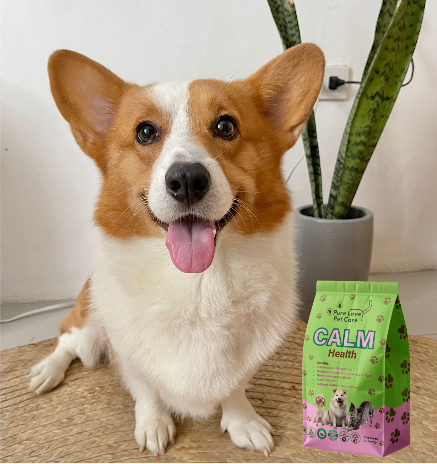 Calm Support — Natural Stress & Anxiety Relief for Dogs