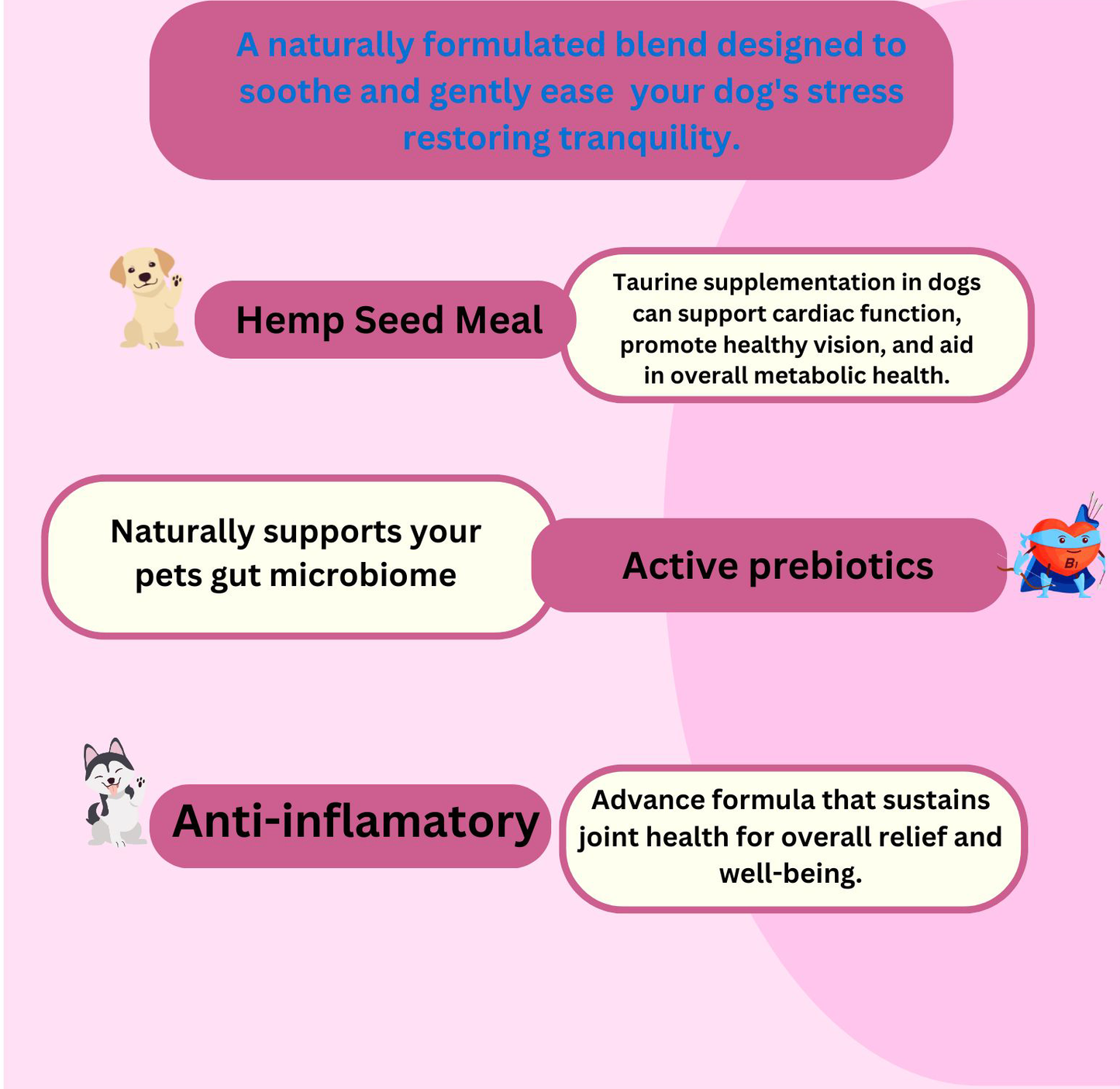 Calm Support — Natural Stress & Anxiety Relief for Dogs