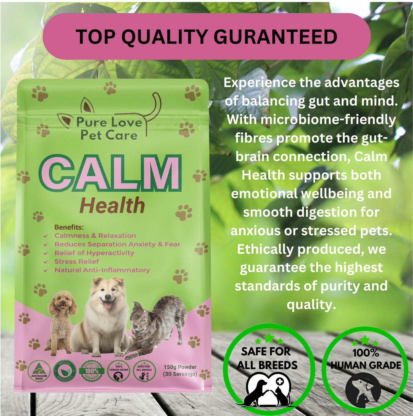 Calm Support — Natural Stress & Anxiety Relief for Dogs