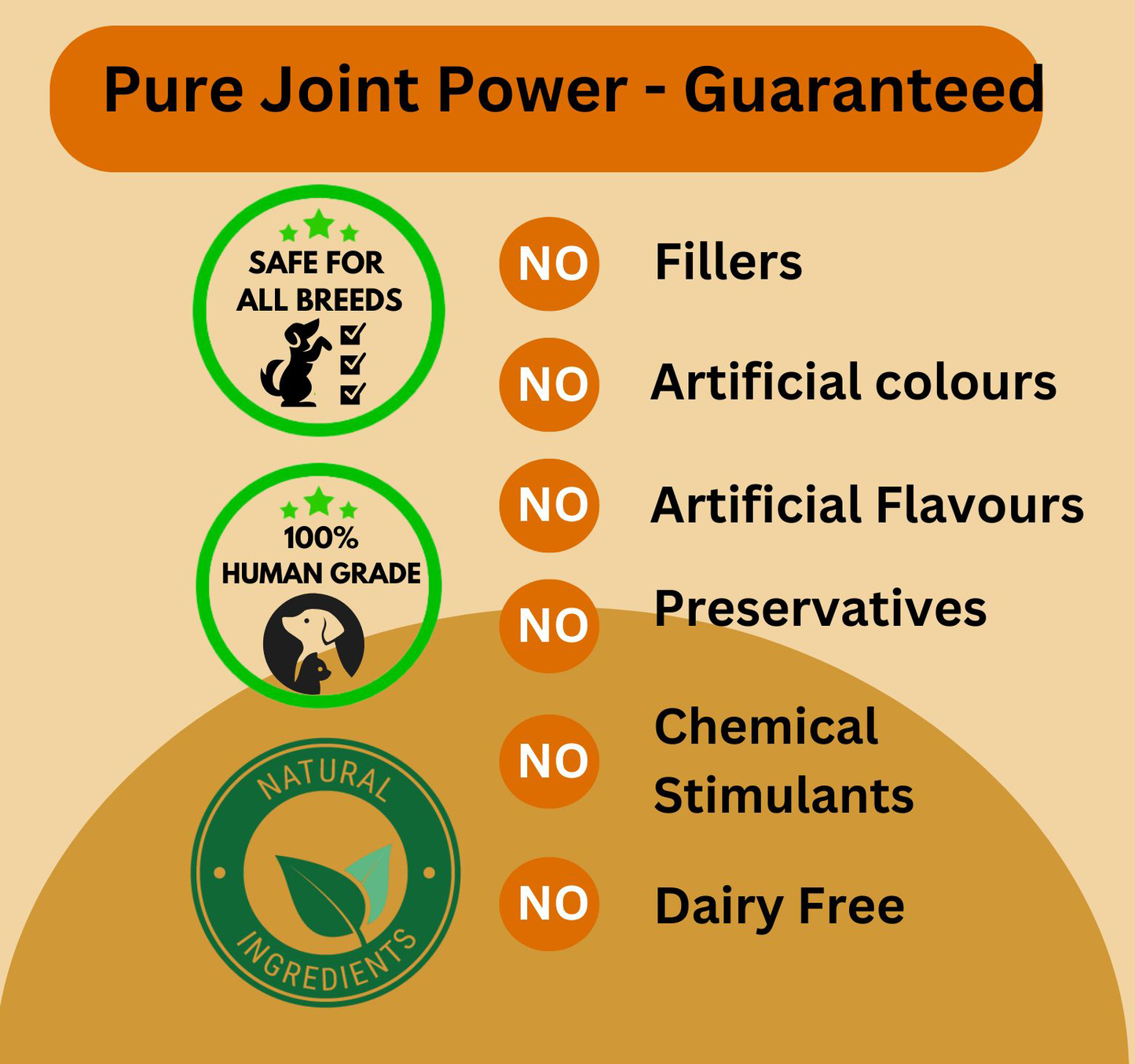 Hip & Joint Support — Daily Mobility Formula for Dogs