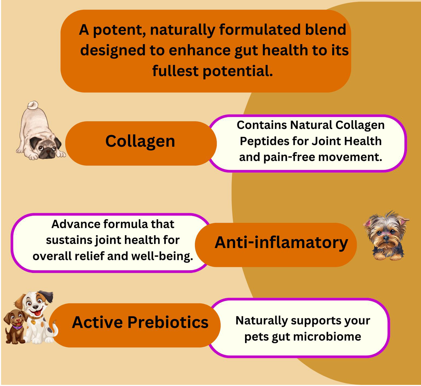 Hip & Joint Support — Daily Mobility Formula for Dogs