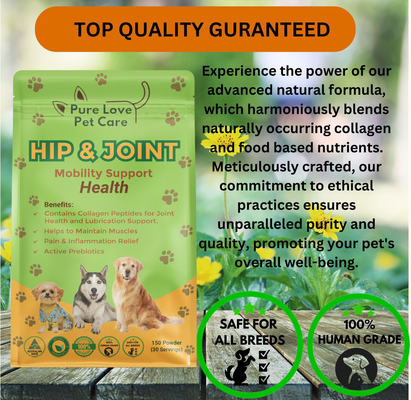 Hip & Joint Support — Daily Mobility Formula for Dogs