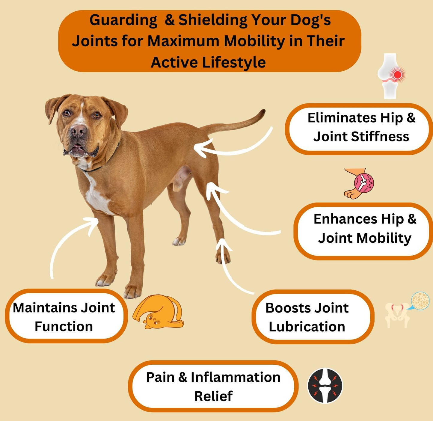 Hip & Joint Support — Daily Mobility Formula for Dogs