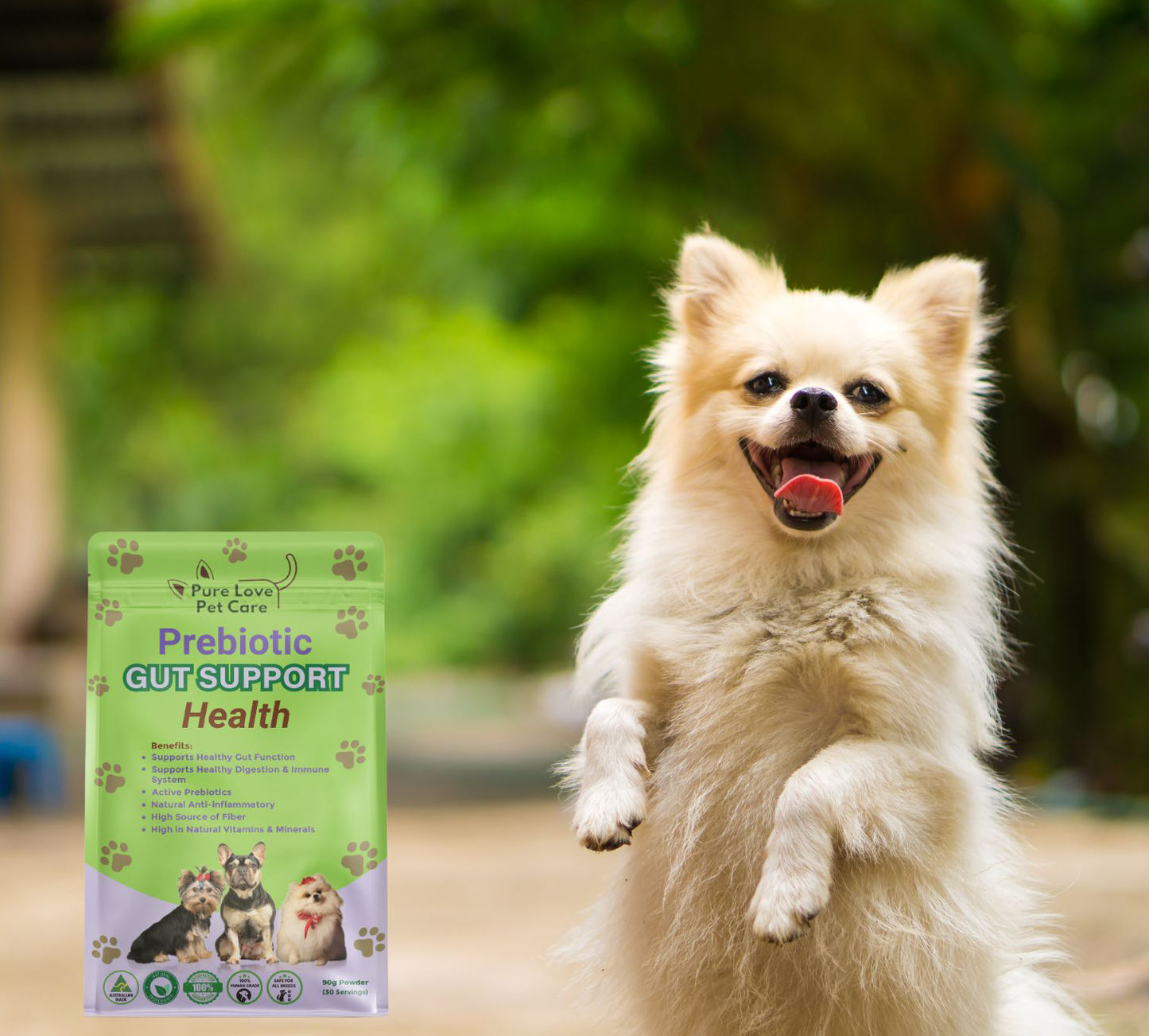 Prebiotic Gut Support — Daily Digestive Boost for Dogs