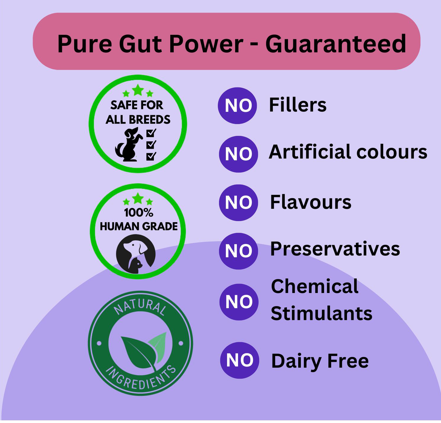Prebiotic Gut Support — Daily Digestive Boost for Dogs
