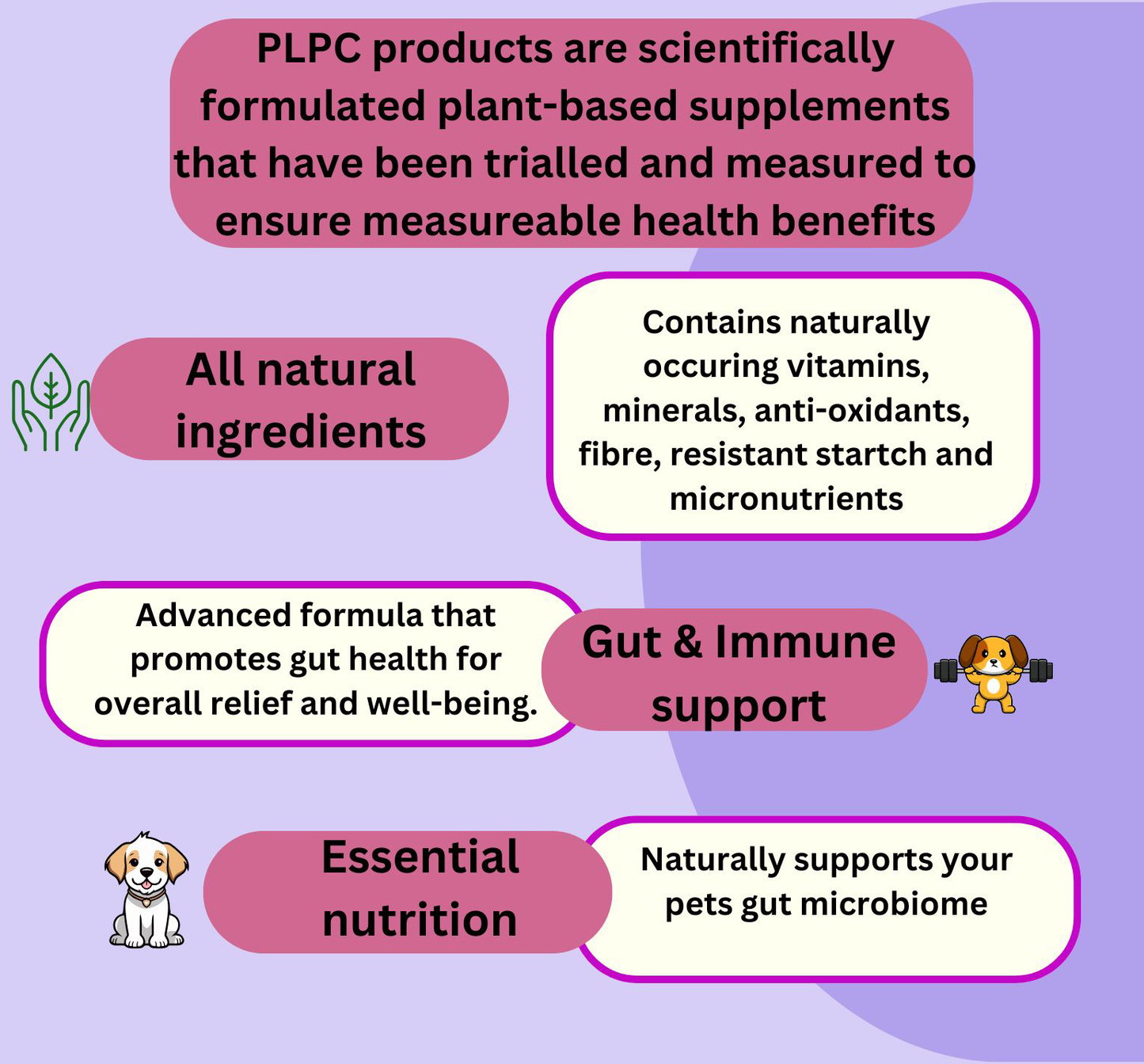 Prebiotic Gut Support — Daily Digestive Boost for Dogs