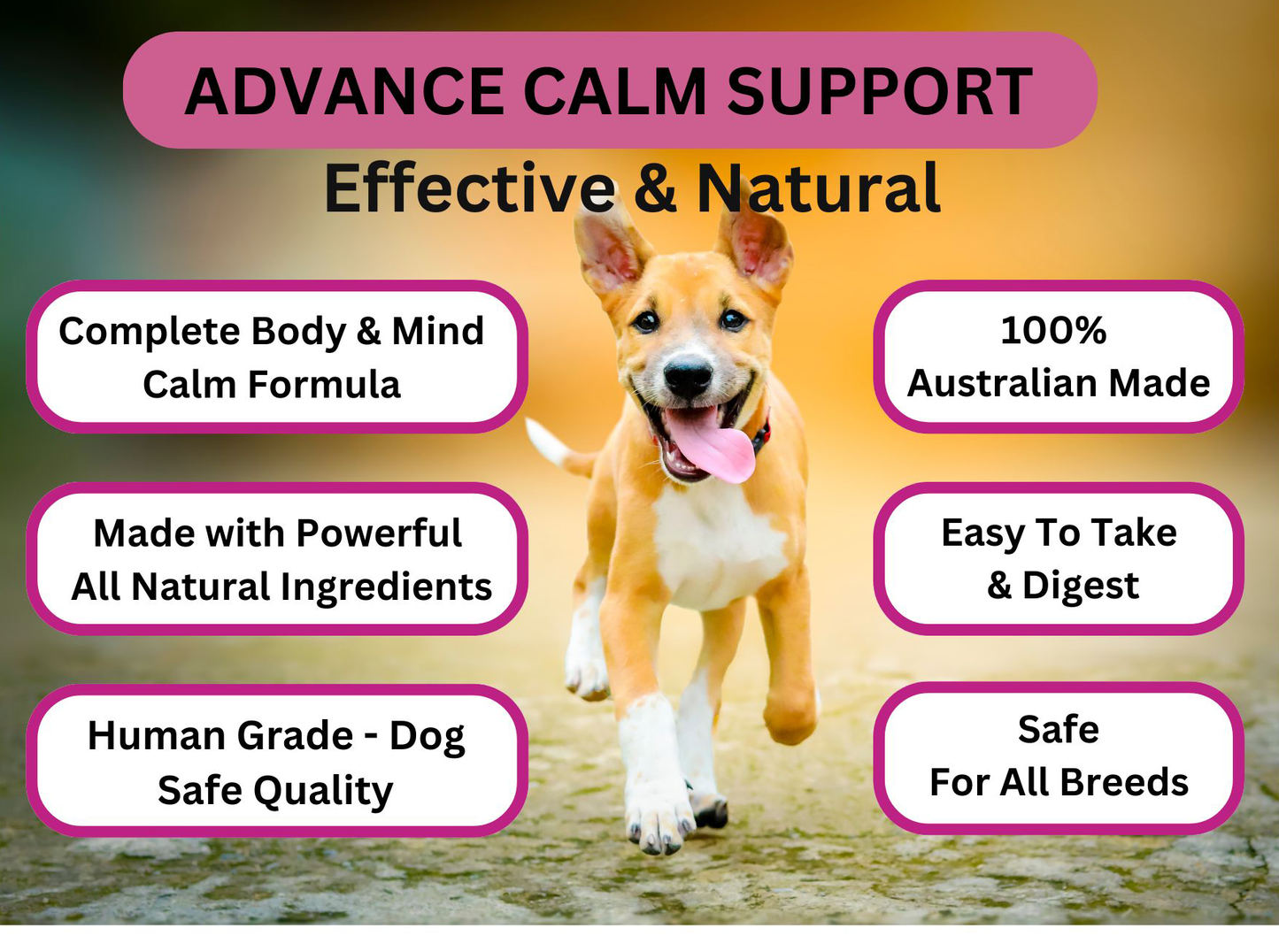 Calm Support — Natural Stress & Anxiety Relief for Dogs