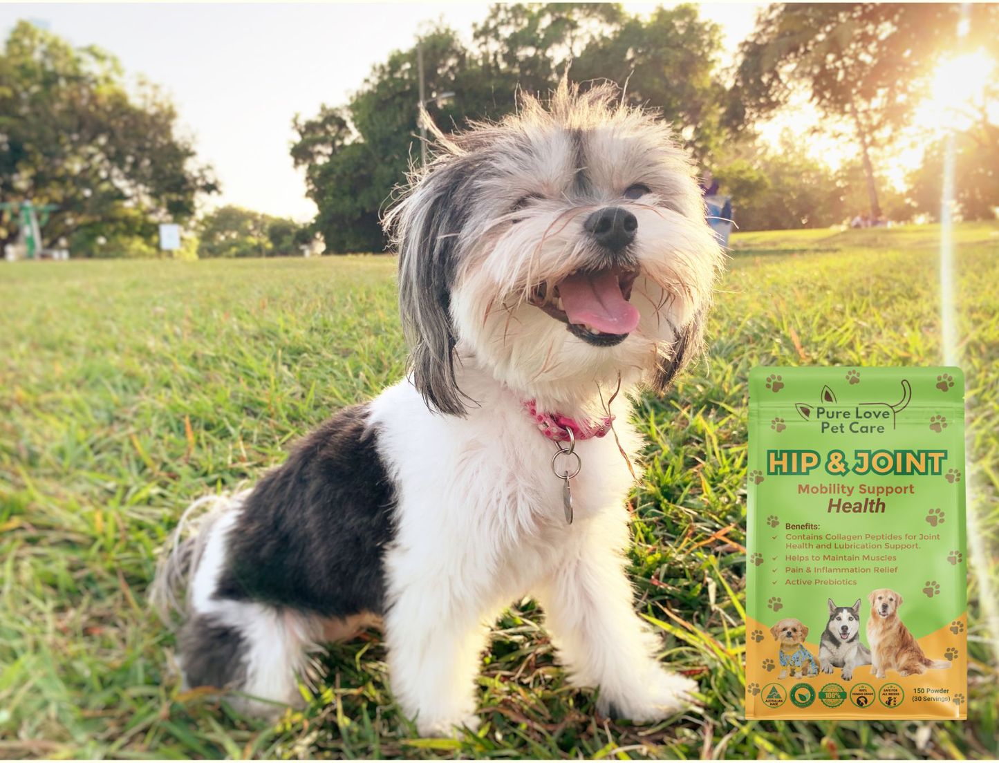 Hip & Joint Support — Daily Mobility Formula for Dogs
