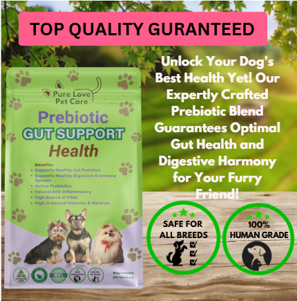 Prebiotic Gut Support — Daily Digestive Boost for Dogs