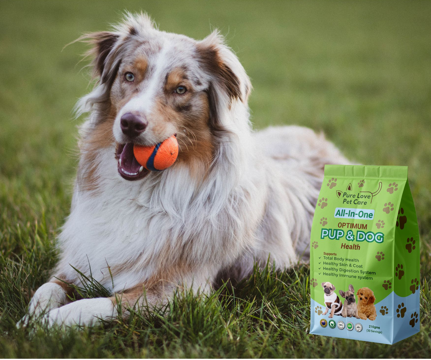Optimum Dog Health — All-in-One Daily Wellness Supplement