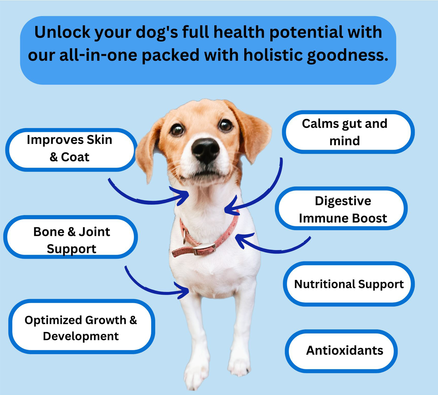 Optimum Dog Health — All-in-One Daily Wellness Supplement