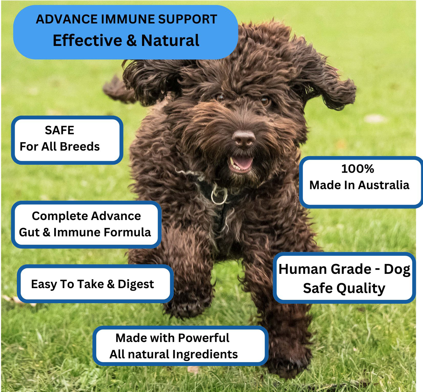 Optimum Dog Health — All-in-One Daily Wellness Supplement